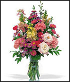 carnations, asters, larkspur and snapdragons